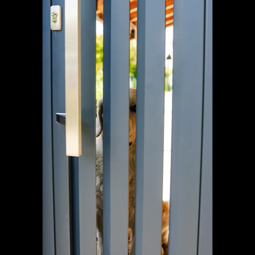 Clôture en aluminium - RAL 7016